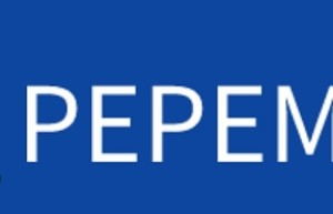 迷你版PEPE海外市场掀起 即将上线知名交易所
